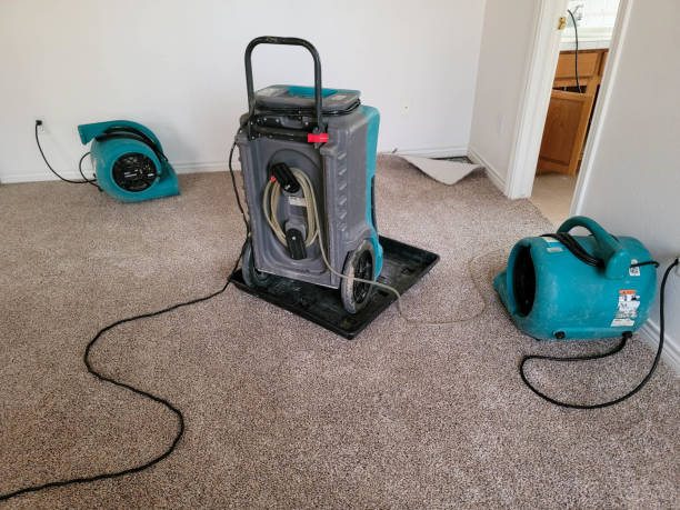 Best Water damage restoration near me  in Madisonville, TN