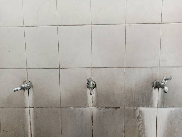Best Water damage restoration near me  in Madisonville, TN