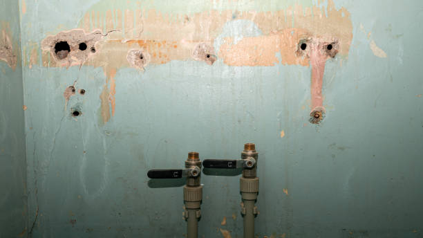 Best Water damage cleanup near me  in Madisonville, TN
