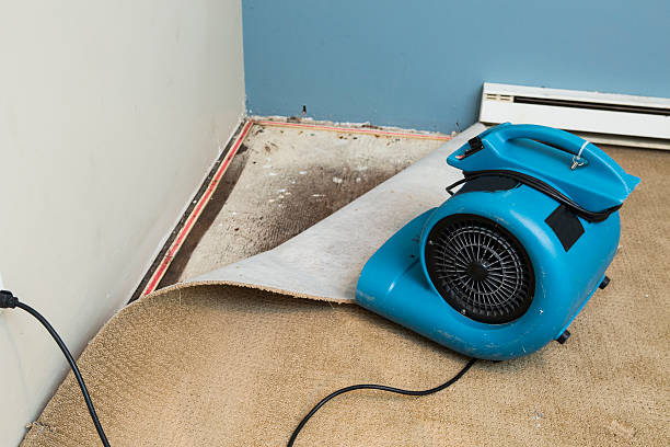Best Fire Damage Restoration  in Madisonville, TN